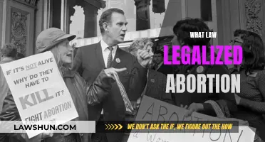 The Law Behind Abortion Access