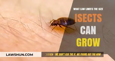 Insects' Size Limit: The Law and Its Biological Constraints
