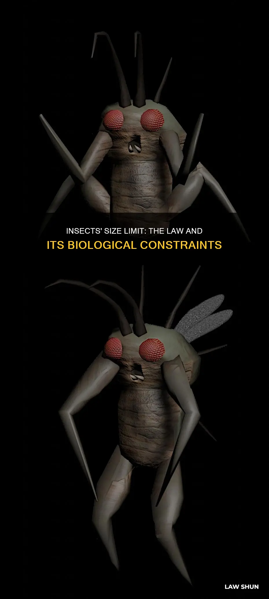 what law limits the size isects can grow