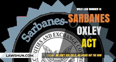 Understanding the Sarbanes-Oxley Act: Its Legal Designation Explained