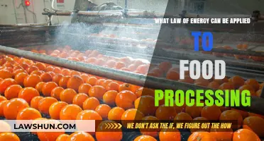 Energy Laws: Optimizing Food Processing Efficiency
