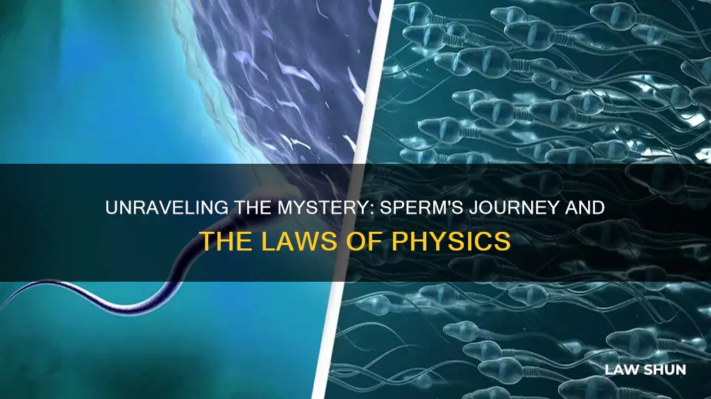 what law of physics does sperm break