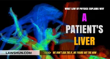 How Fluid Dynamics in Physics Influences Liver Function in Patients