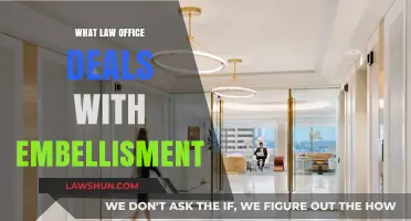 Legal Experts Handling Embellishment Cases: Which Law Office to Choose?