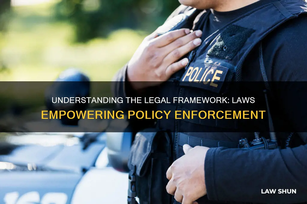 what law or laws that give a policy legal force