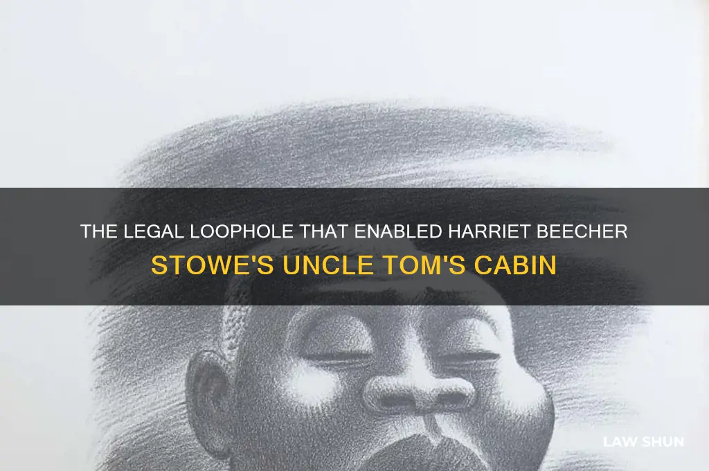what law permitted stowe to write this book