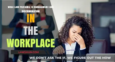 Workplace Harassment and Discrimination: Understanding Legal Protections and Rights