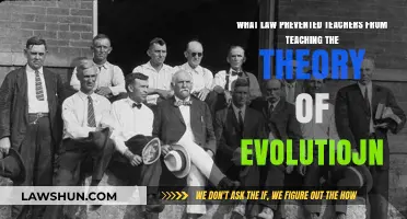 The Legal Barrier: How the Butler Act Silenced Evolution Teaching