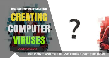 Computer Viruses: Legal Boundaries and Criminal Codes