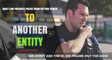 Understanding the Legal Barrier: Police Power Delegation Restrictions Explained
