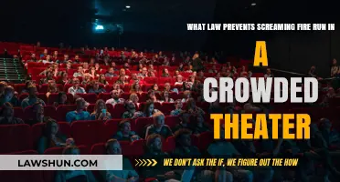 Understanding the Legal Limits of Free Speech in Crowded Theaters