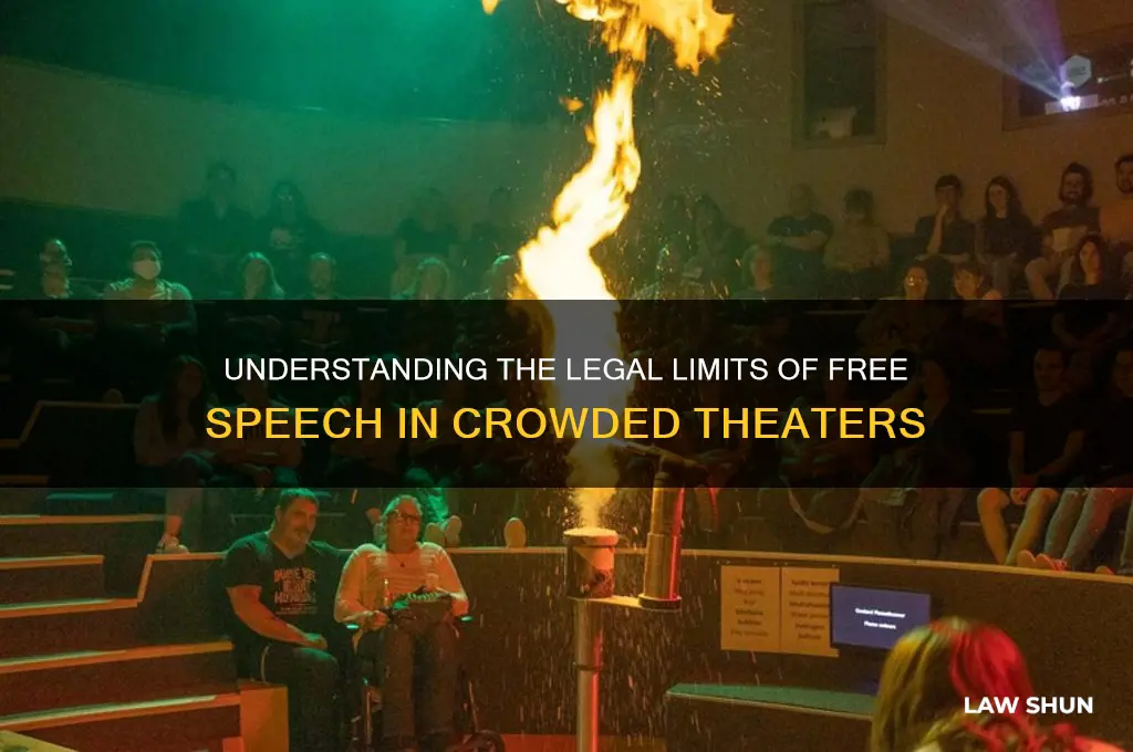 what law prevents screaming fire run in a crowded theater
