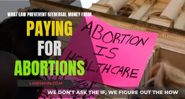 Hyde Amendment: Federal Money and Abortion Laws