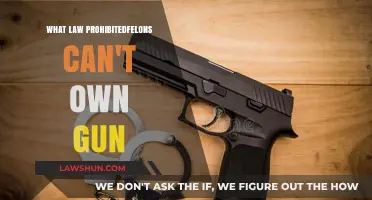Understanding Gun Ownership Restrictions for Felons