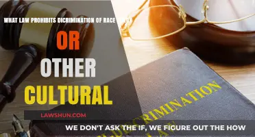 Understanding Laws Against Racial, Cultural, and Color Discrimination
