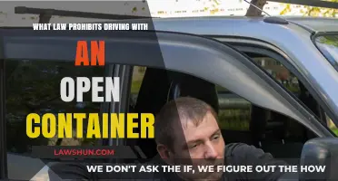 Open Container Laws: Understanding Prohibitions on Driving with Alcohol