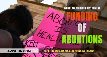 Abortion Funding: Laws Prohibiting Government Support