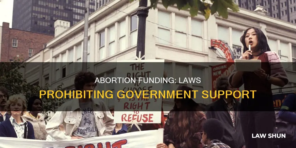 what law prohibits government funding of abortions