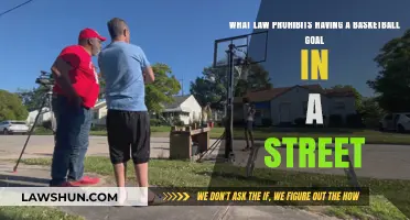 Street Basketball Goals: Understanding the Legal Restrictions and Prohibitions
