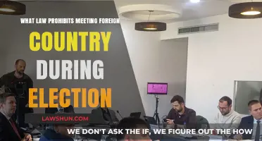 Legal Restrictions on Foreign Meetings During Election Periods Explained