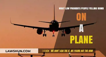 Yelling 'Bomb' on a Plane: Legal Consequences and Prohibitions
