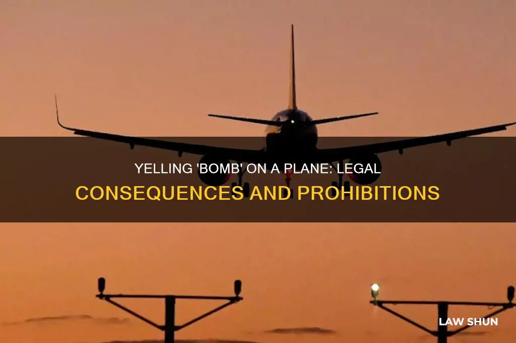 what law prohibits people yelling bomb on a plane