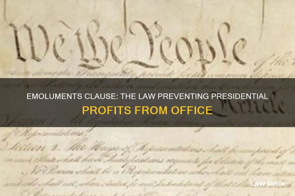 what law prohibits presidents profiting from office