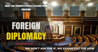 Private Citizens and Foreign Diplomacy: Understanding the Logan Act's Restrictions