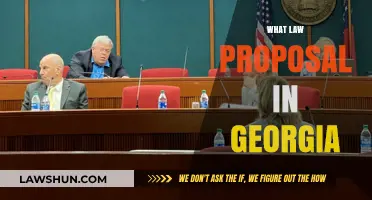 Georgia's New Law Proposal: Key Changes and Potential Impacts