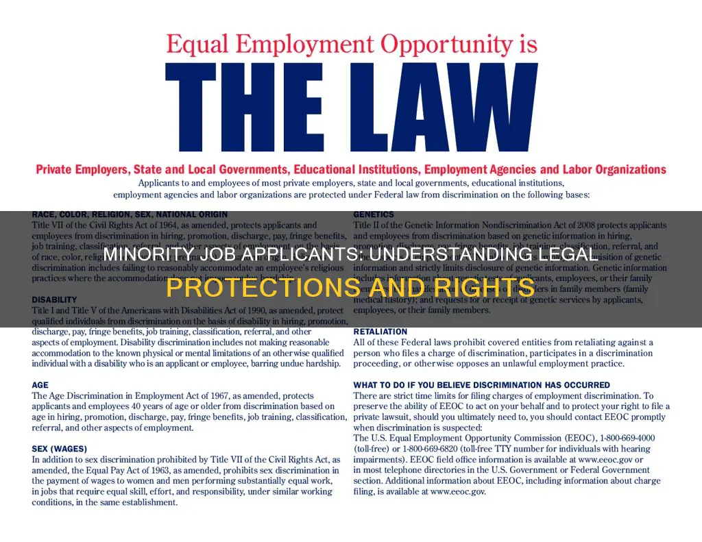 what law protects minorites in applying fro jobs