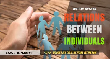 Understanding the Legal Framework Governing Personal Relationships and Interactions