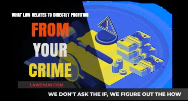 Profiting from Crime: Understanding the Legal Consequences and Penalties