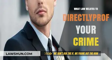 Profiting from Crime: Understanding the Legal Consequences and Penalties