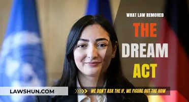 The Legal Shift: Which Law Replaced the DREAM Act?