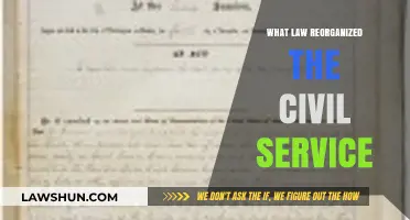 The Pendleton Act: Reorganizing Civil Service for Merit-Based Hiring
