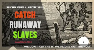 Fugitive Slave Act: The Law Forcing Citizens to Hunt Runaways