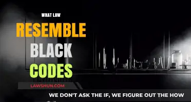 Black Codes' Legacy: Laws Today Mirroring Historical Oppression