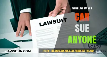 Suing Rights: What the Law Says