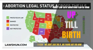 Understanding Abortion Laws: Late-Term Procedures Explained