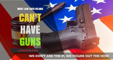 The Law Disarming Felons: Gun Control Legislation