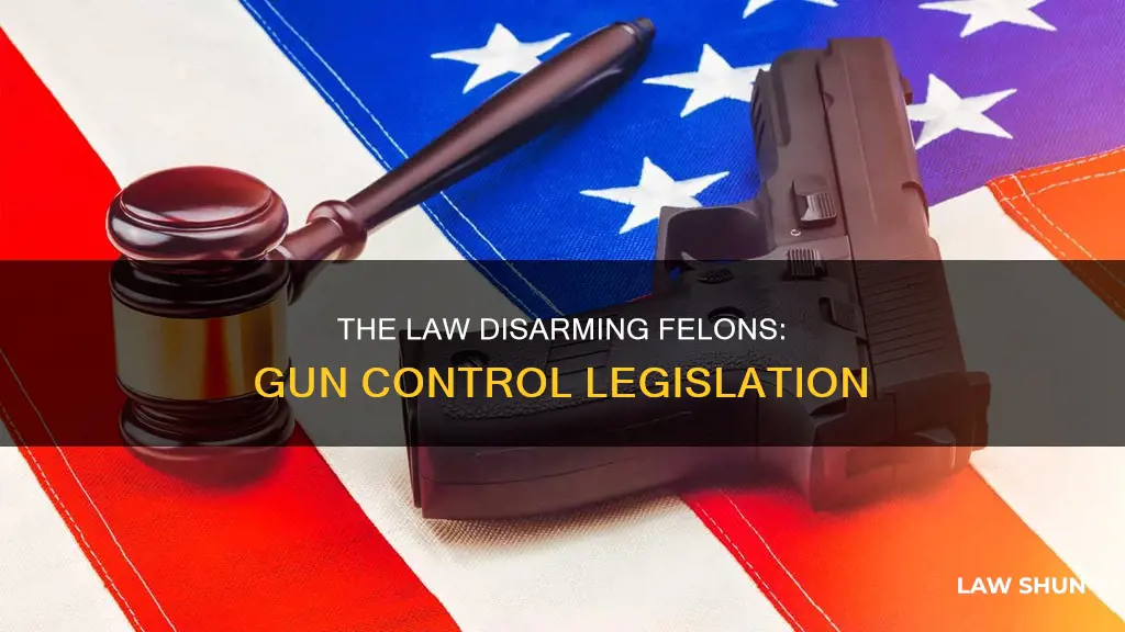 what law says felons can