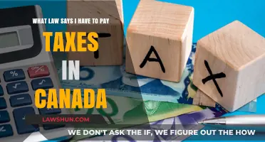 Canadian Tax Law: Who Pays and Why?