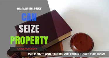 Police Seizure Power: What Gives?