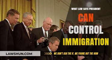 Presidential Power: Immigration Laws Explained