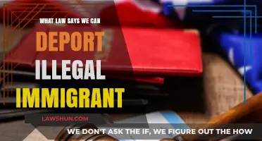 Understanding Immigration Law: Deportation Policies Explained