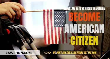 Born in America: Citizenship by Birthright Law