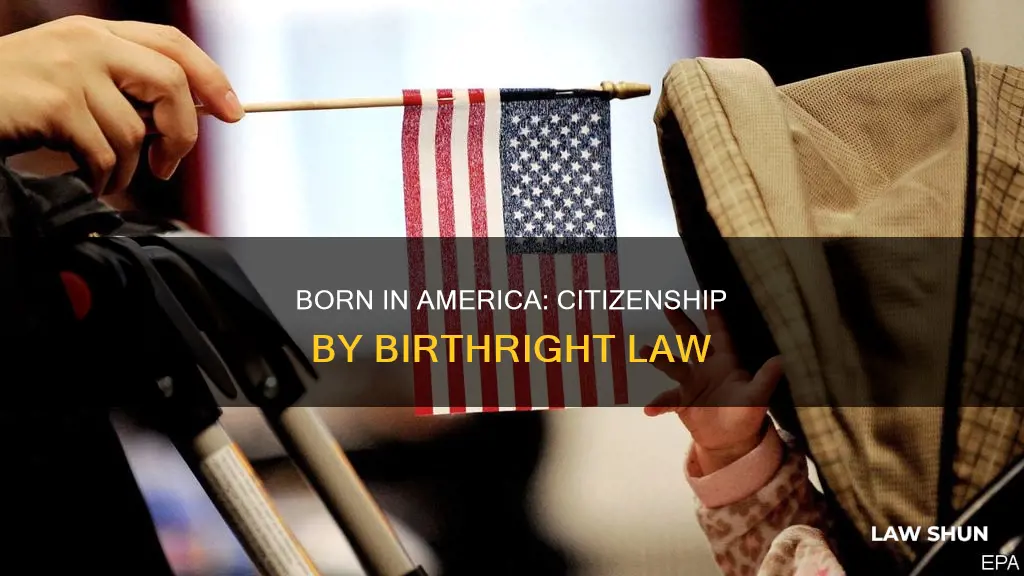 what law says you born in america become american citizen