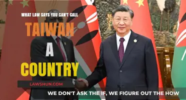 Taiwan's Country Status: The Law and China's One-China Policy
