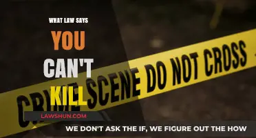 The Law of Life and Death: Killing and Consequences