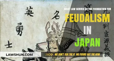 The Taika Reforms: Japan's Feudalism Foundation Explained